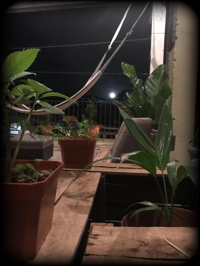 La Terraza Hostel ฟลอเรส ภายนอก รูปภาพ