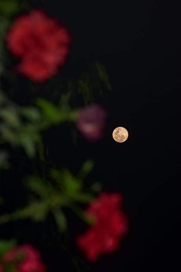 La Terraza Hostel ฟลอเรส ภายนอก รูปภาพ