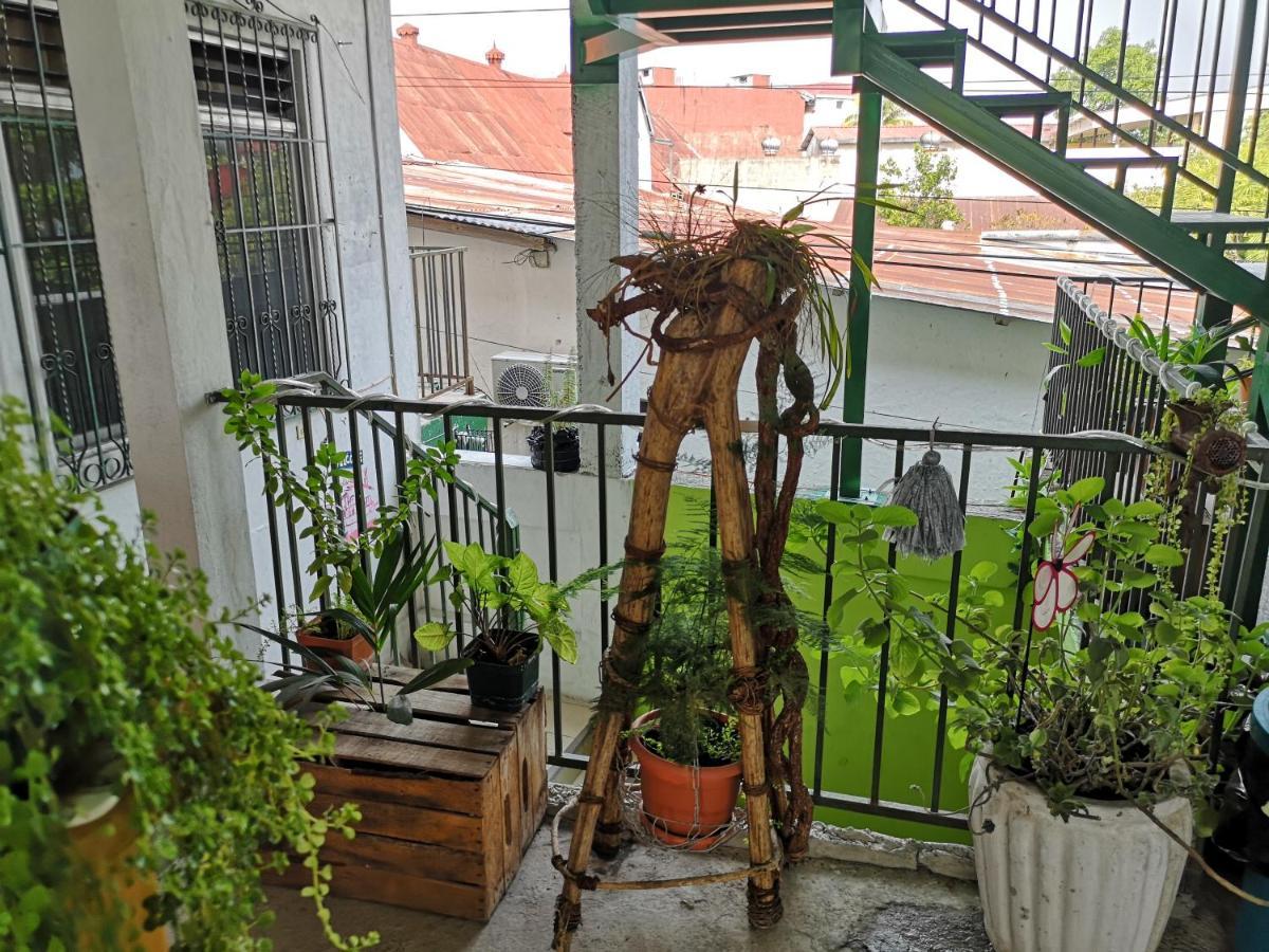La Terraza Hostel ฟลอเรส ภายนอก รูปภาพ